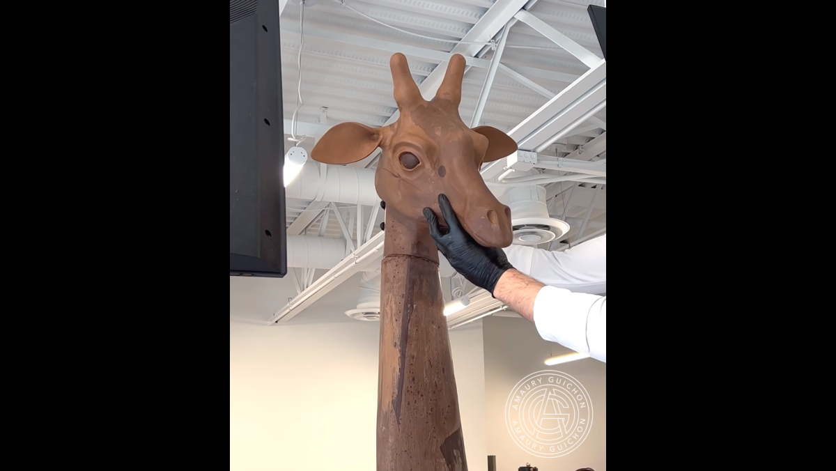 chocolate-giraffe-head